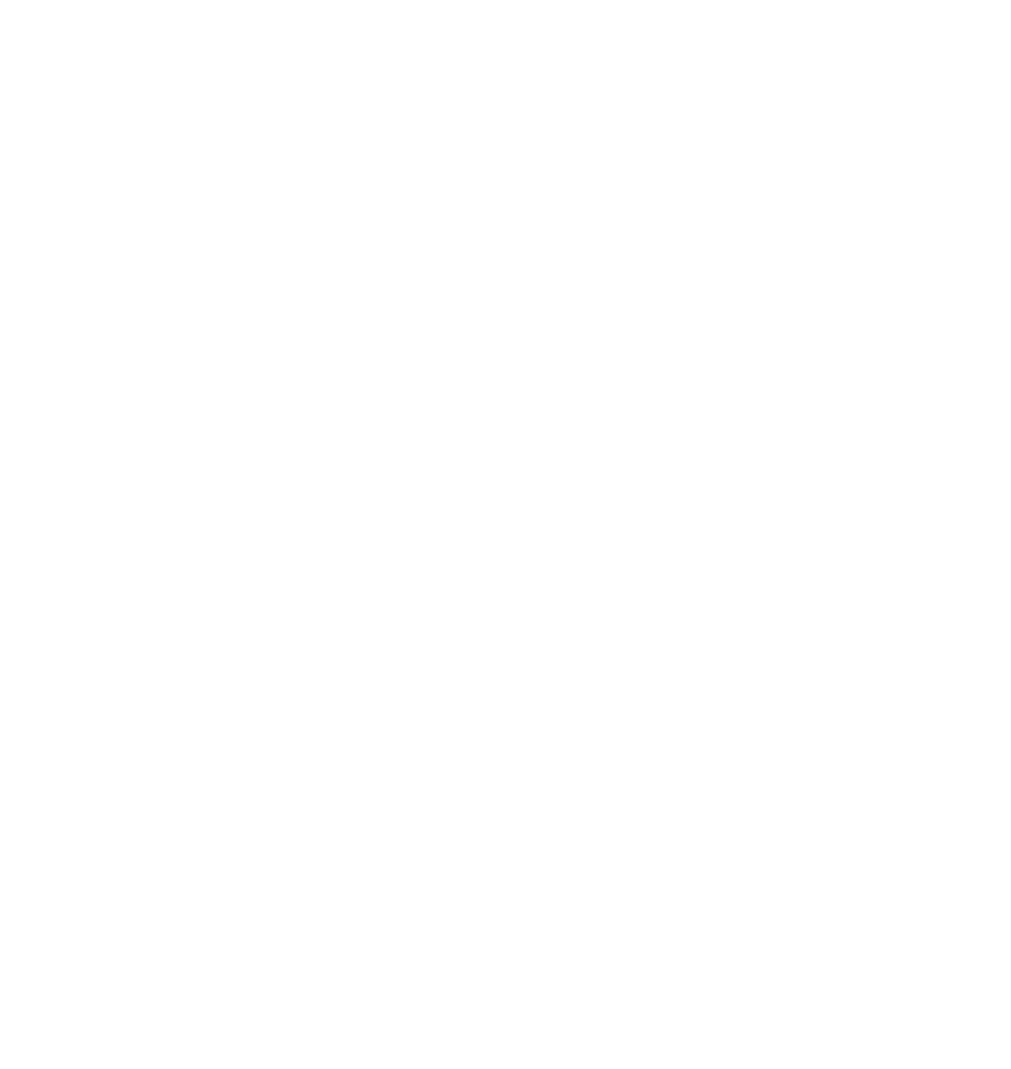 Dunna Soluções e Investimentos
